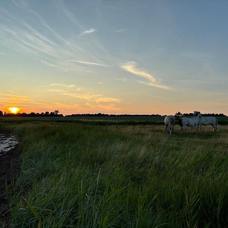 Nedlagt Gard I Naturen Med Ro Og Fred Og Samtidig Taet Pa Strand Og Fiskeri Og Indkobsmuligheder Nordborg Eksteriør bilde